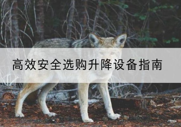 秀洲升降货梯厂家推荐-*安全选购升降设备指南