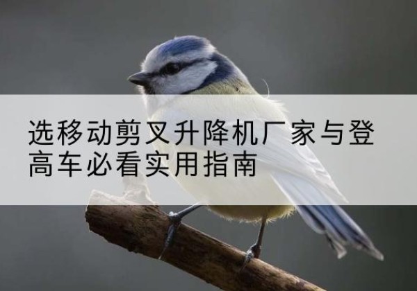 秀洲电动升降机厂家-选移动剪叉升降机厂家与登高车必看实用指南