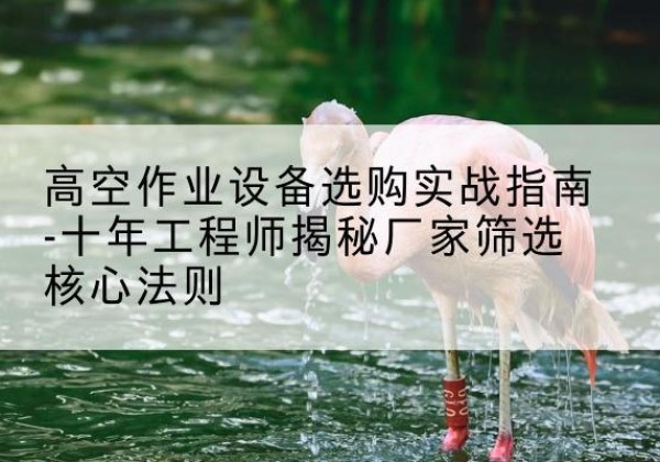 秀洲剪叉式升降机厂家-高空作业设备选购实战指南-十年工程师揭秘厂家筛选核心法则