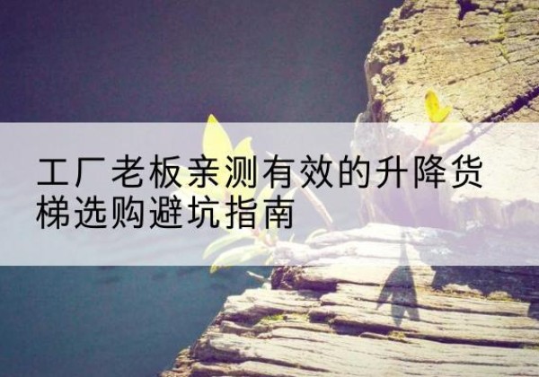 秀洲升降货梯怎么选-工厂老板亲测有效的升降货梯选购避坑指南